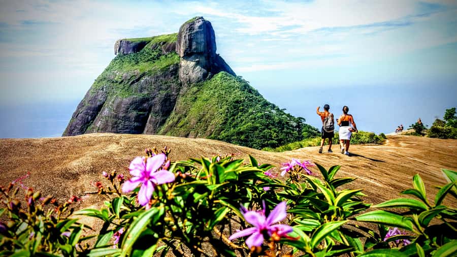 Rio: Tijuca National Park Small-Group Hike to Pedra Bonita - How the guiding shapes the experience