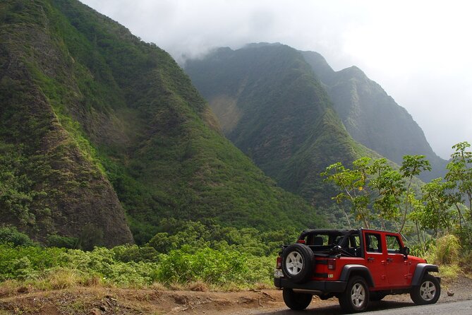 Road To Hana: Maui Waterfall Hiking Tour in Private Jeep - The bamboo forest adds a real walk