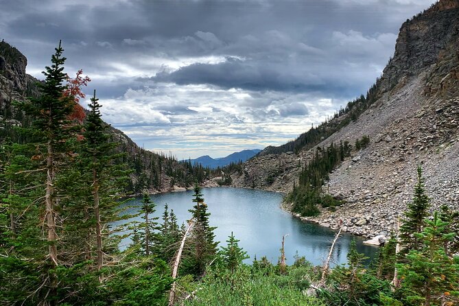 Rocky Mountain Full Day Private Tour & Hike - Wildlife watching at Upper Beaver Meadows