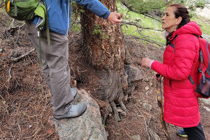 Rocky Mountain National Park Half Day Hike - Why a half-day hike works well in Rocky Mountain National Park