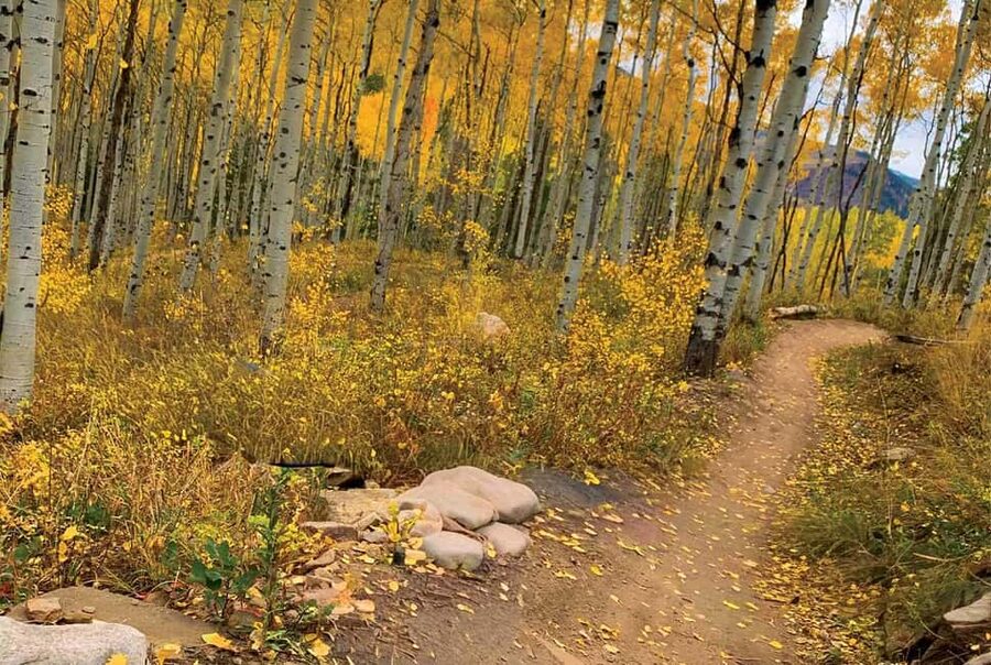 Rocky Mountain National Park Hike - Wildlife sightings along the way