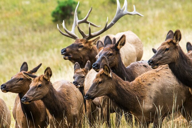 Rocky Mountain National Park - Private Hiking Tour - Is $1,475 a fair price for your group?