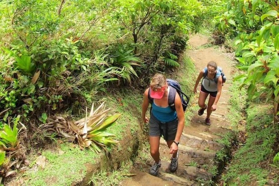 Roseau: Boiling Lake Challenge Hiking Tour with Local Guide - Key points to know before you book