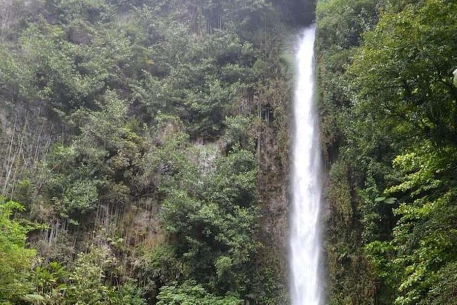 Roseau: Middleham Falls Hike & Titou Gorge Half-Day Trip - From Roseau to the rainforest