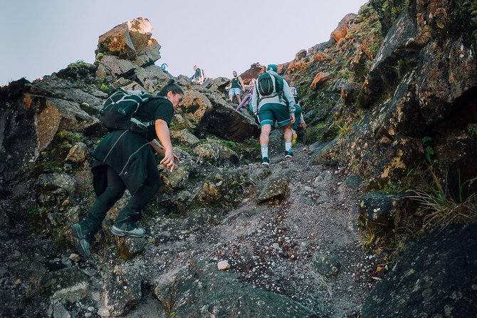Rotorua Hiking: Mt Tarawera Guided Volcanic Crater Experience - From Rotorua pickup to the volcanic back roads