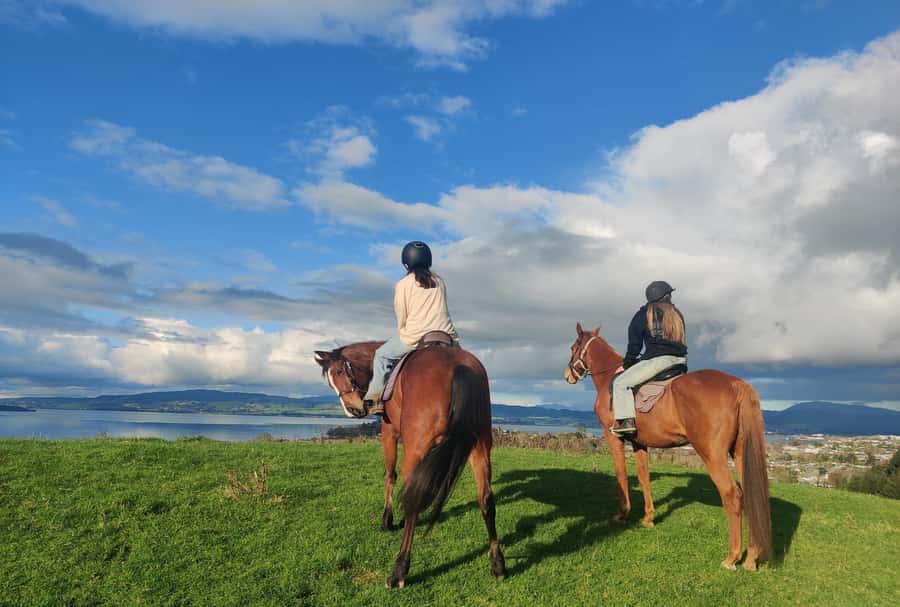 Rotorua: Scenic Horse Trek - A Quiet Ride Above Lake Rotorua