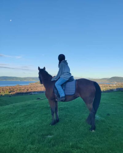 Rotorua: Scenic Horse Trek