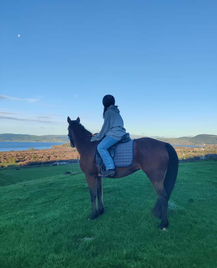 Rotorua: Scenic Horse Trek - Rolling Farmland and Mt Ngongotaha Foothills
