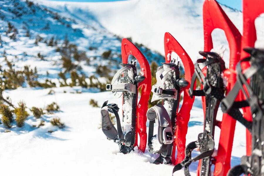 Rovaniemi: Hiking and Snowshoeing Adventure in Lapland - At a Glance: What You Are Buying