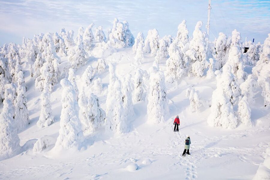 Rovaniemi: Hiking and Snowshoeing Adventure in Lapland - Starting Out From Rovaniemi
