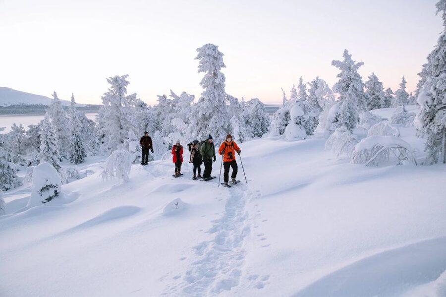 Rovaniemi: Hiking and Snowshoeing Adventure in Lapland - Into the Arctic Forest