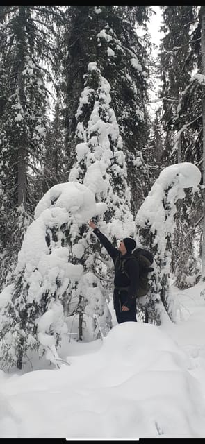Rovaniemi: Korouoma Frozen Waterfalls Hike & Hot BBQ Lunch - Four hours on the snowy Korouoma trail