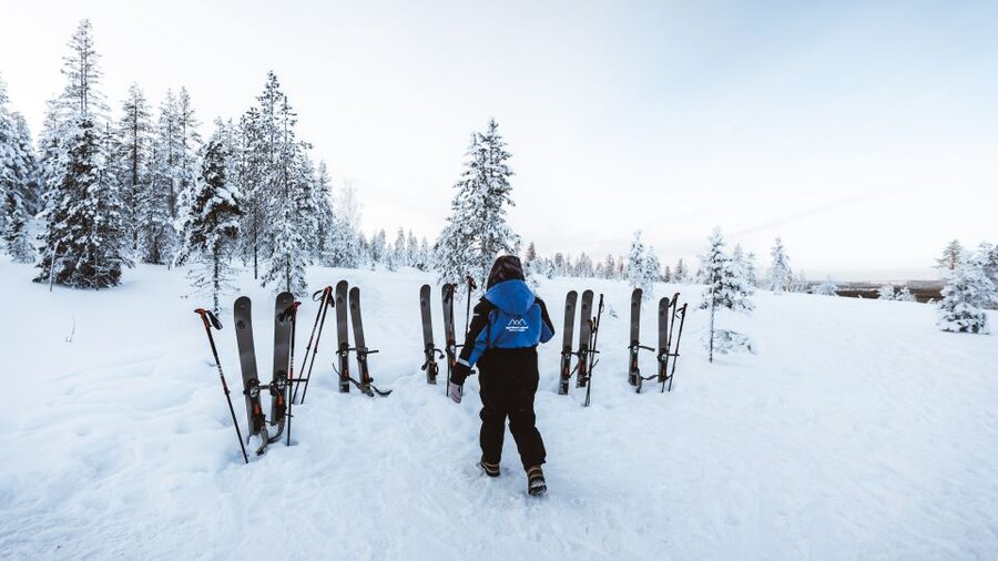 Rovaniemi: Lapland Ski Trekking Safari - Booking, timing, and cancellation