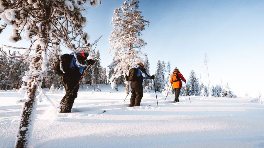 Rovaniemi: Lapland Ski Trekking Safari - What you receive for $128