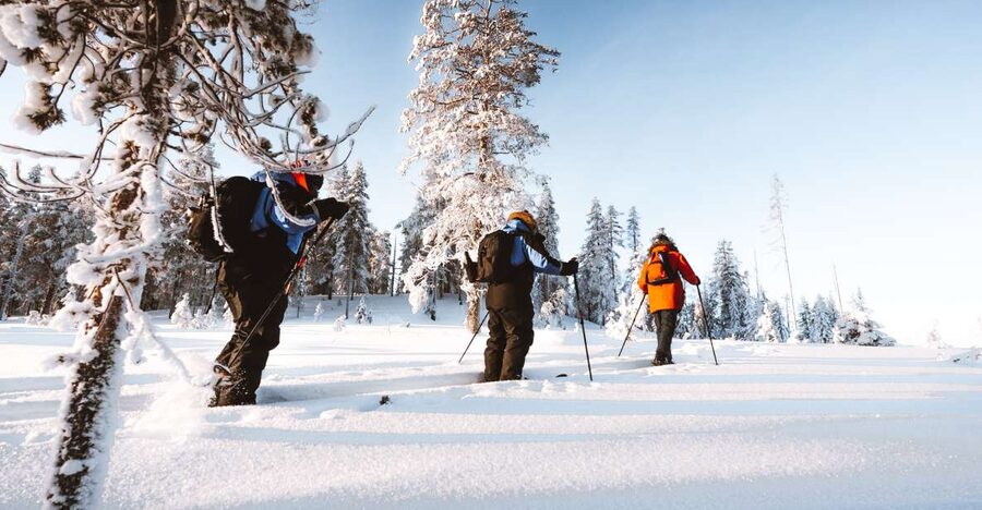 Rovaniemi: Lapland Ski Trekking Safari - The guides make the difference