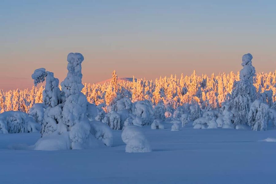Rovaniemi: Riisitunturi Guided Hike with Photography and BBQ - Key points to know before you book