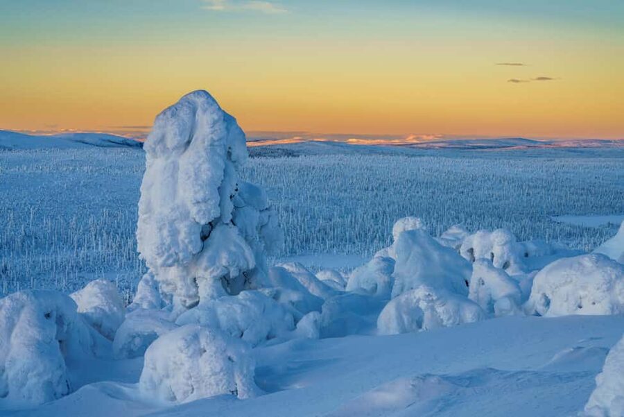 Rovaniemi: Riisitunturi Guided Hike with Photography and BBQ - Leaving Rovaniemi by van