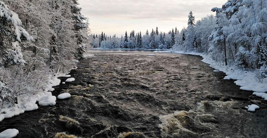 Rovaniemi: Vaattunki Hiking Arctic Circle Trail - Crossing the Arctic Circle without a theme park feel
