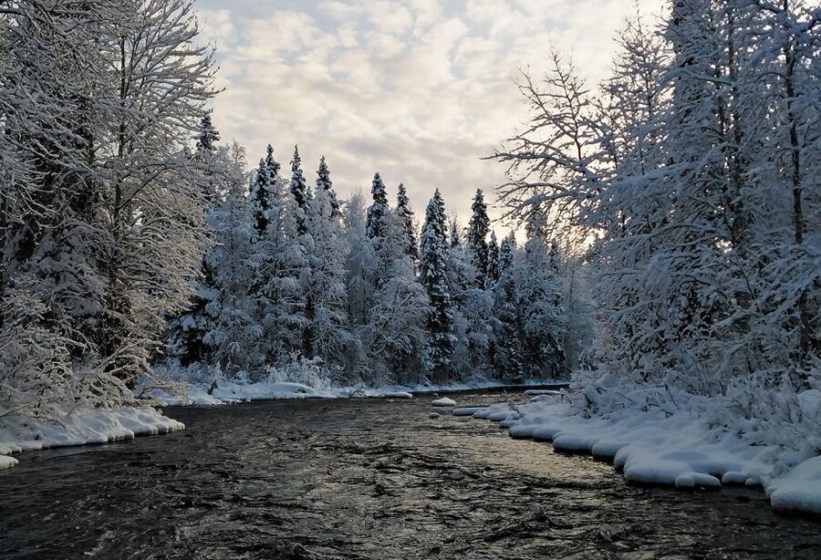 Rovaniemi: Vaattunki Hiking Arctic Circle Trail - Who will enjoy this three-hour hike?