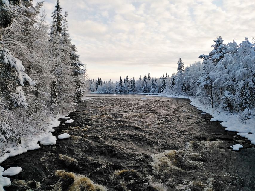 Rovaniemi: Vaattunki Hiking Arctic Circle Trail - Timing, clothing, and simple planning tips