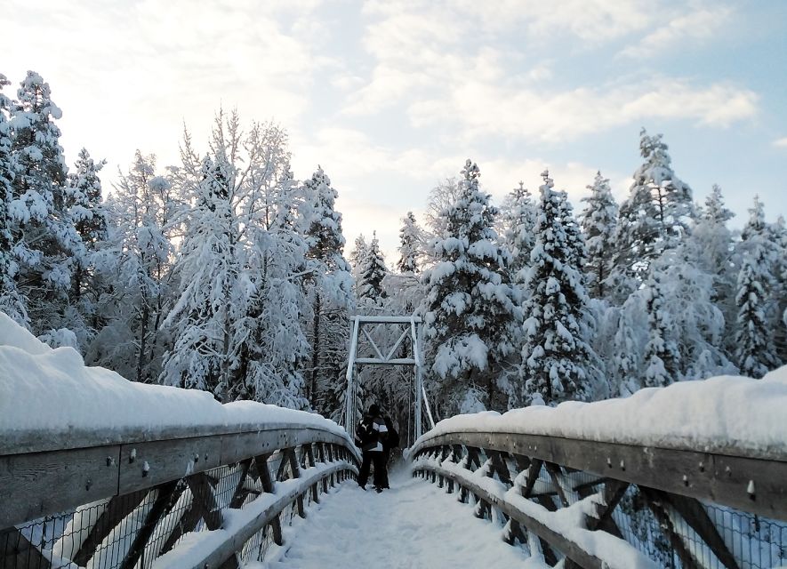 Rovaniemi: Vaattunki Hiking Arctic Circle Trail - Walking through Lapland’s forests and marshes