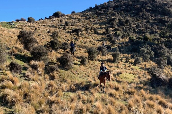 Rubicon Valley Horse Treks - 2 Hour River Trail Horse Trek - What happens during the two-hour route