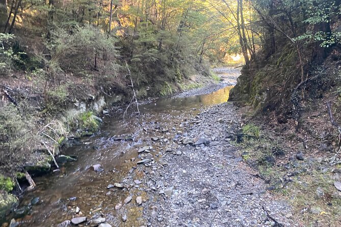 Rubicon Valley Horse Treks - 2 Hour River Trail Horse Trek - Price, group size, and practical value