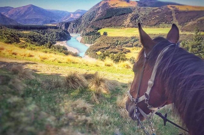 Rubicon Valley Horse Treks - 2 Hour River Trail Horse Trek - Who should book this ride