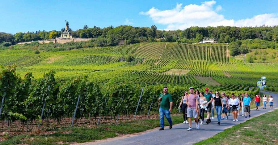 Rüdesheim - Guided wine hikes with 4wines and cable car ride - Starting in Rüdesheim with sparkling wine