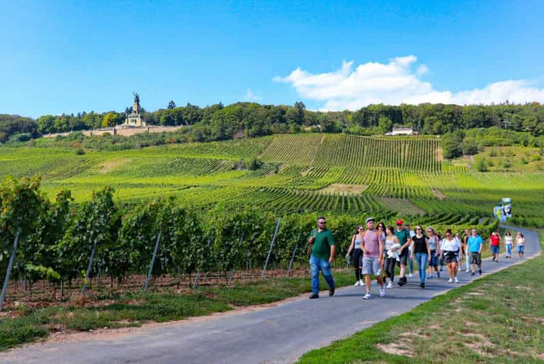 Rüdesheim - Guided wine hikes with 4wines and cable car ride - Riding the cable car above the vineyards