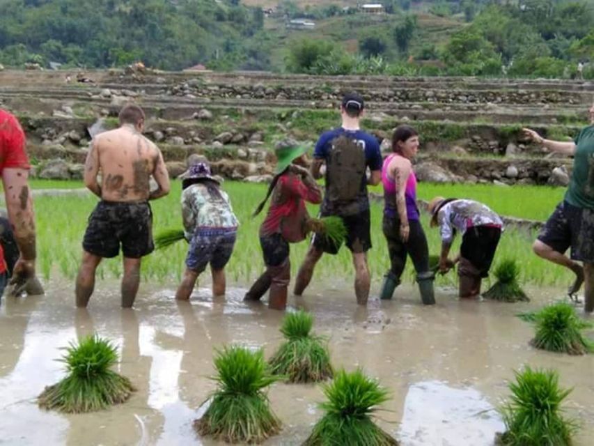 Sa Pa: 2-Day Trekking Trip with Ethnic Minority Homestay - Practical verdict: book it if the homestay matters