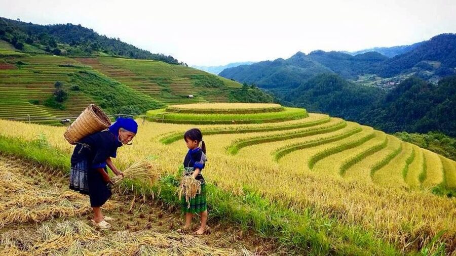 Sa Pa: 6-Hours Muong Hoa Valley Trek with Local Ethnic guide - Ta Van and the Dzay side of the valley