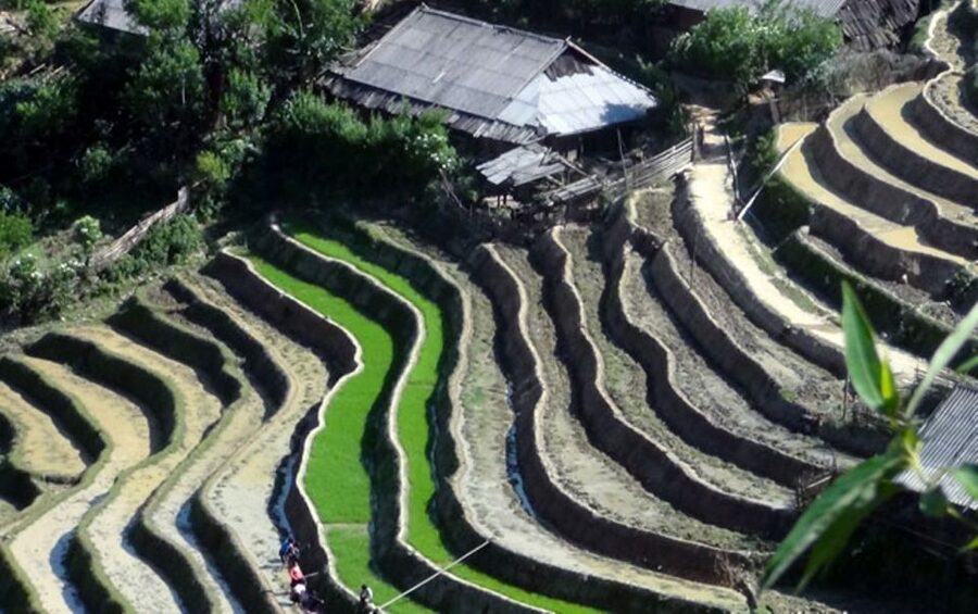 Sa Pa: 6-Hours Muong Hoa Valley Trek with Local Ethnic guide - Returning to Sa Pa by bus