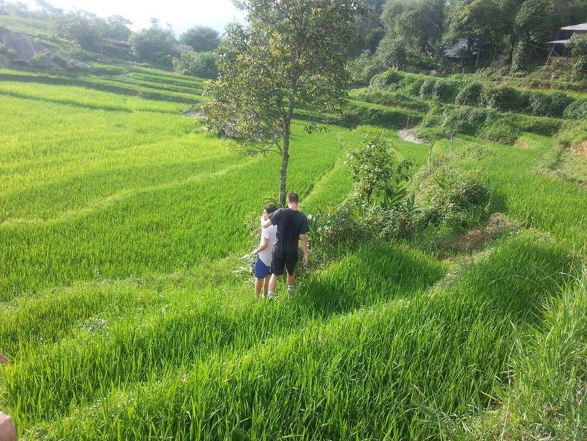 Sa Pa: 6-Hours Muong Hoa Valley Trek with Local Ethnic guide - What the $18 price really covers