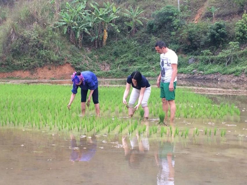 Sa Pa: 6-Hours Muong Hoa Valley Trek with Local Ethnic guide - The terrain: beautiful, muddy, and sometimes awkward