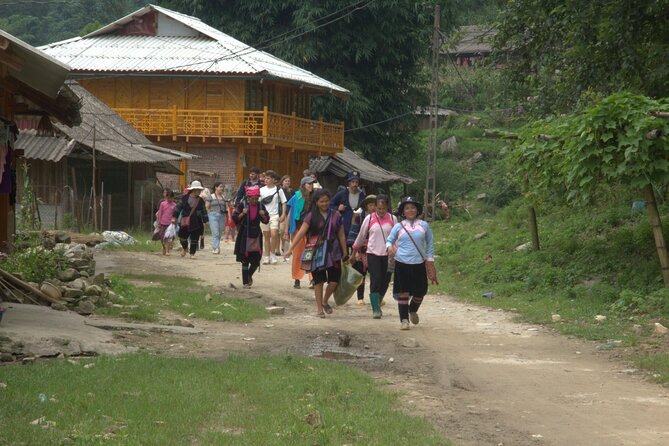 Sa Pa Full Day Trekking Tour - Ta Van Village and the included local lunch