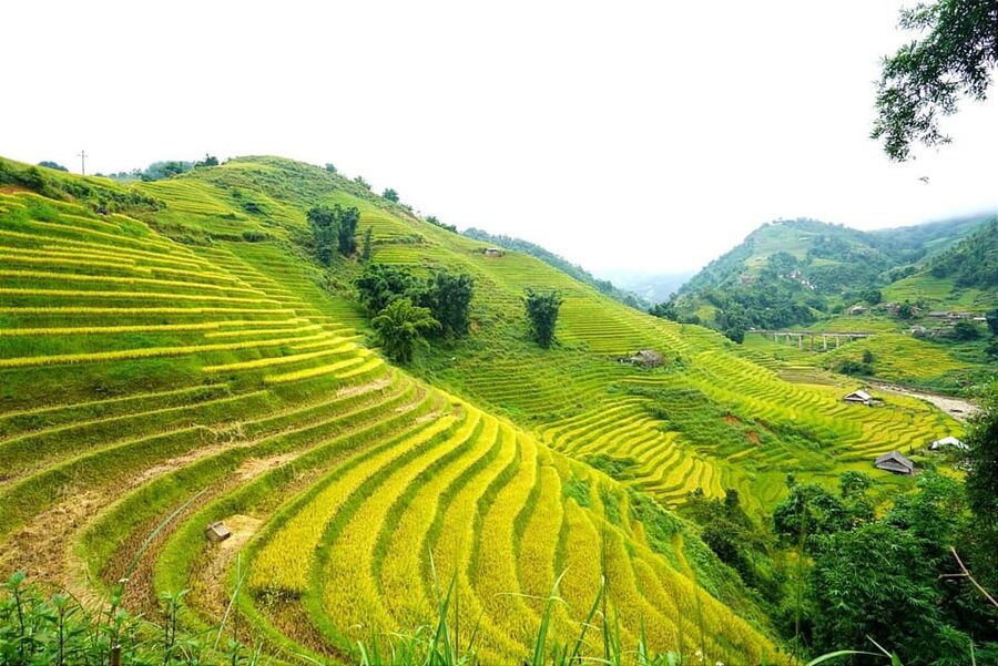 Sa Pa: Half-Day Cat Cat Village Hike to Meet H'mong People - Who will enjoy this Cat Cat walk
