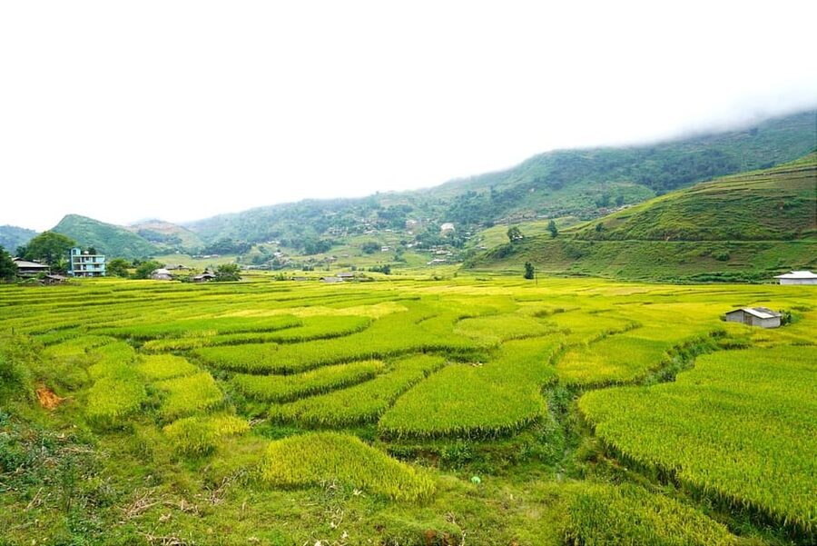 Sa Pa: Half-Day Cat Cat Village Hike to Meet H'mong People - Small groups can make a $17 tour worthwhile