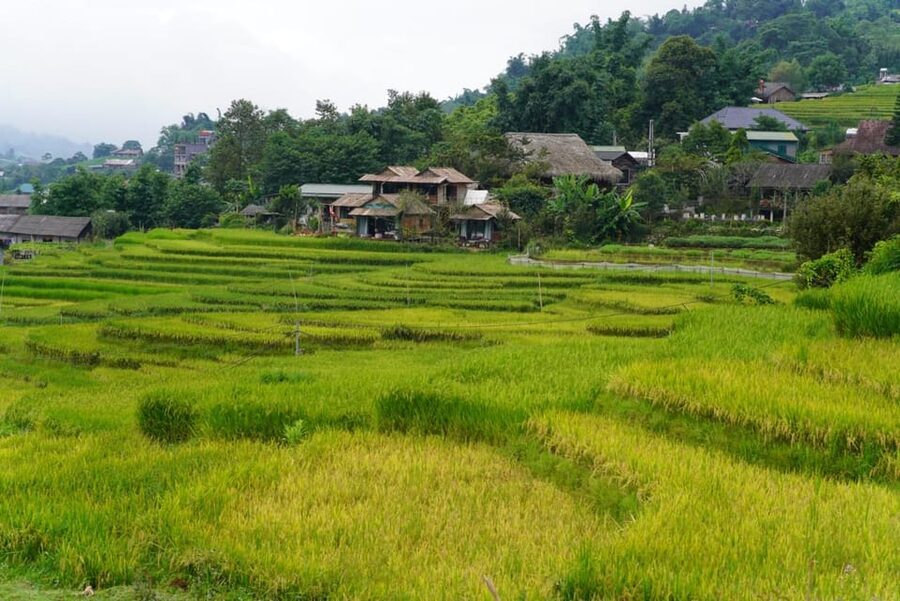 Sa Pa: Half-Day Cat Cat Village Hike to Meet H'mong People - Starting from Sa Pa Town in the afternoon