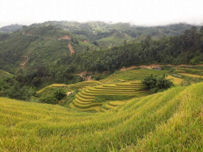 Sa Pa: Muong Hoa Valley Trek and Local Ethnic Villages
