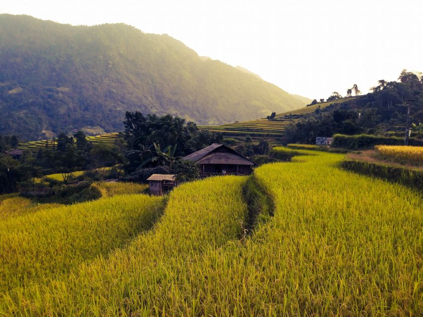 Sa Pa: Muong Hoa Valley Trek and Local Ethnic Villages - Weather, crowds, and the cultural side
