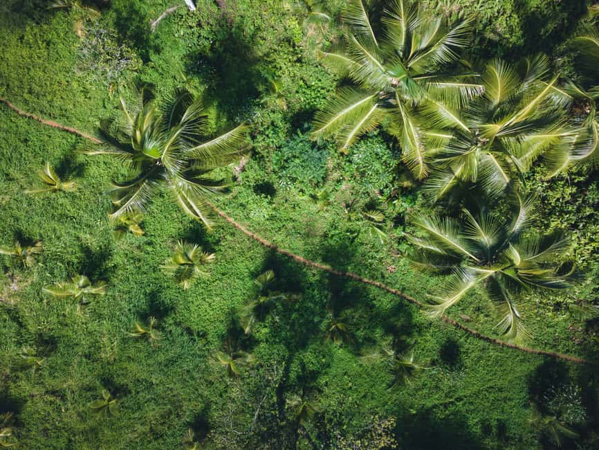 Sabana de la Mar: Los Haitises Guided Hike and Kayaking - San Lorenzo Bay, caves, and the open-water finish