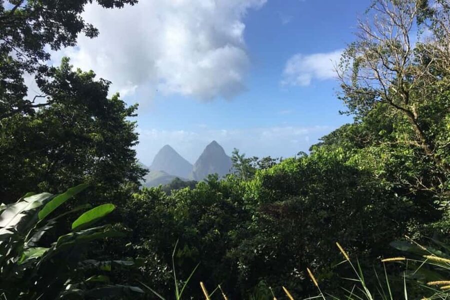 Saint Lucia: Tet Paul Nature Trail Hiking Tour & Beach - Tet Paul Nature Trail: beautiful views in a short walk