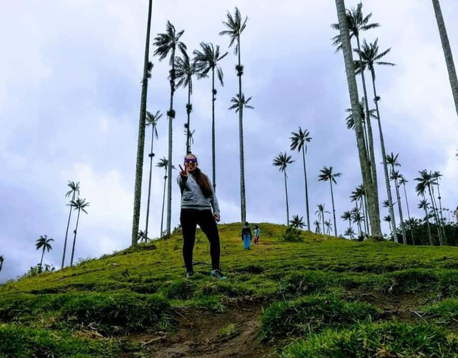Salento/Pereira: Cocora Valley & Salento Hiking Private Tour - Key points to know before you book