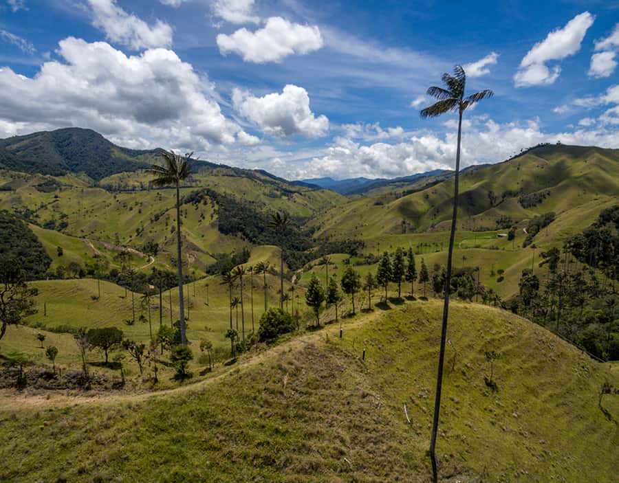 Salento/Pereira: Cocora Valley & Salento Hiking Private Tour - Choosing the right hiking pace