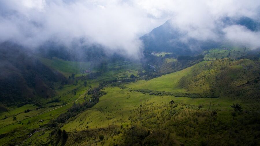 Salento/Pereira: Cocora Valley & Salento Hiking Private Tour - The Salento visit adds a useful second half