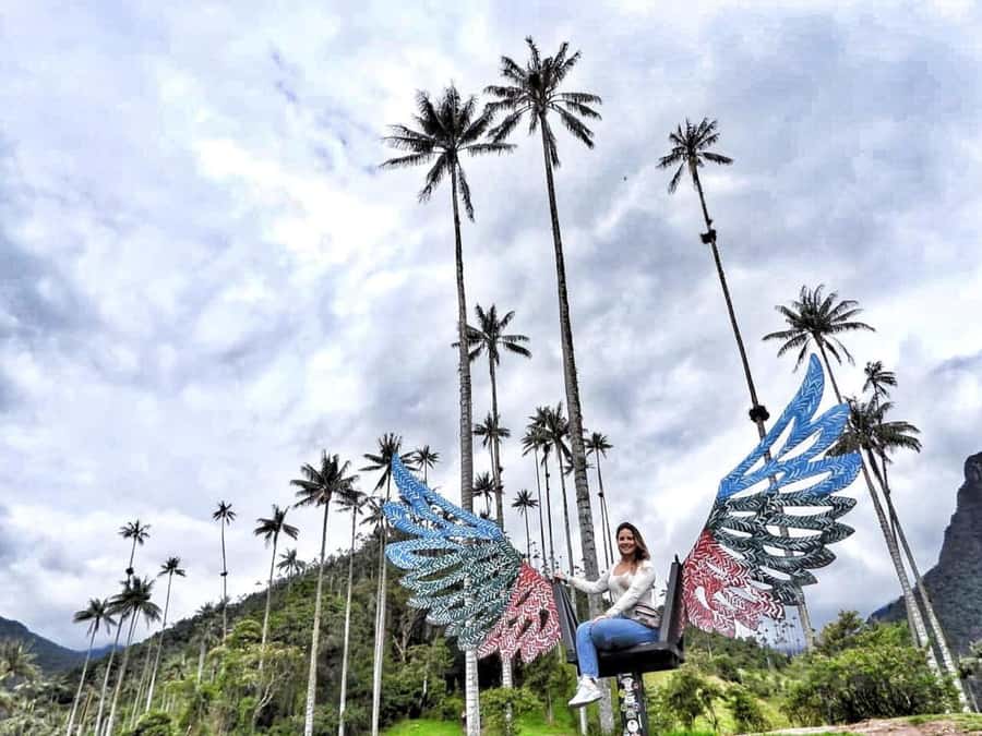 Salento/Pereira: Cocora Valley & Salento Hiking Private Tour - What the six-hour route actually includes