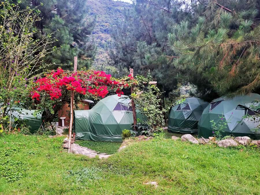 Salkantay Trek to Machu Picchu 5D/4N or 4D/3N by glamping - Day 3: Hot springs, coffee, and the rainforest