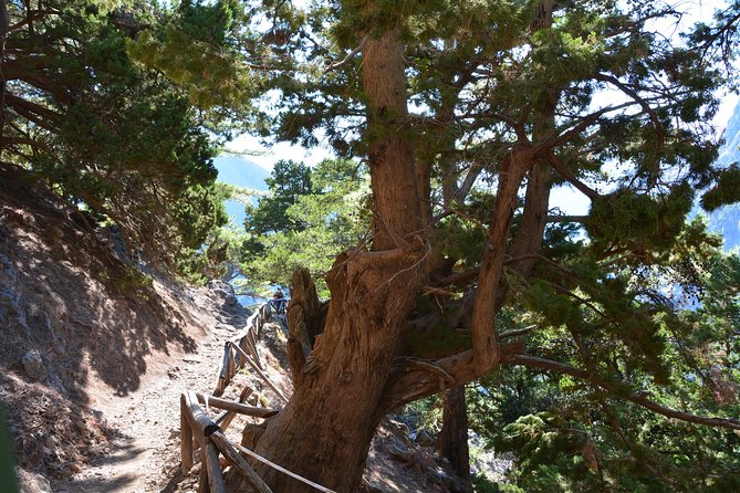 Samaria Gorge Hike - Why Samaria Gorge demands a full day