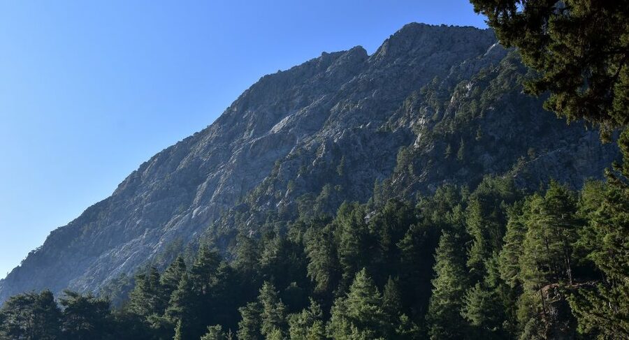 Samariá Gorge Hike: Day Excursion from Chania - Key points to know before booking